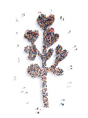 people in the form of plant ecology.