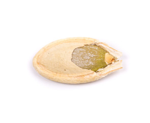 pumpkin seed close up