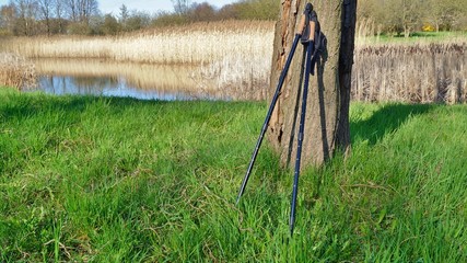 Nordic walking on the spring park. Active and healthy lifestyle.