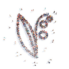 people in the form of plant ecology.