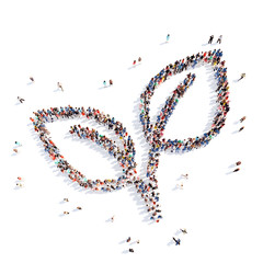 people in the form of plant ecology.