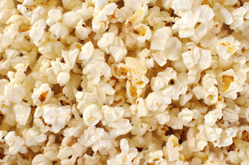 Popcorn. Macro.