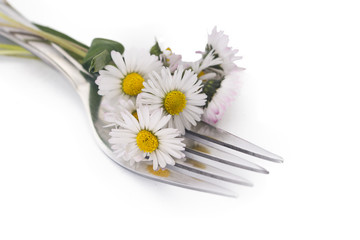 Fototapeta na wymiar fork isolated bouquet of daisies