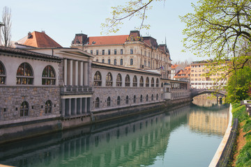 Fototapeta premium City of Ljubljana, Slovenia