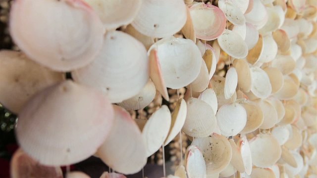 Curtains made of seashells