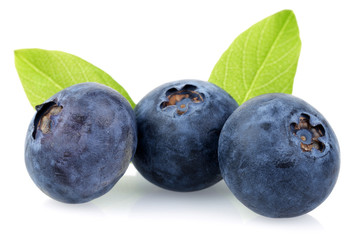 Fresh Blueberry