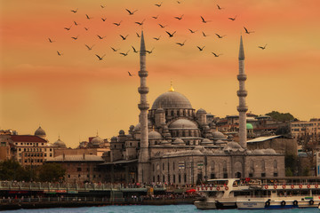 Istanbul Kuppel Sonnenuntergang Möwe skyline - obrazy, fototapety, plakaty