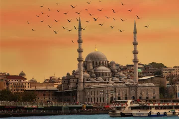 Poster Istanbul koepel zonsondergang zeemeeuw skyline © LightingKreative