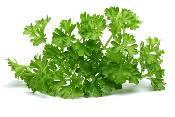 Parsley
