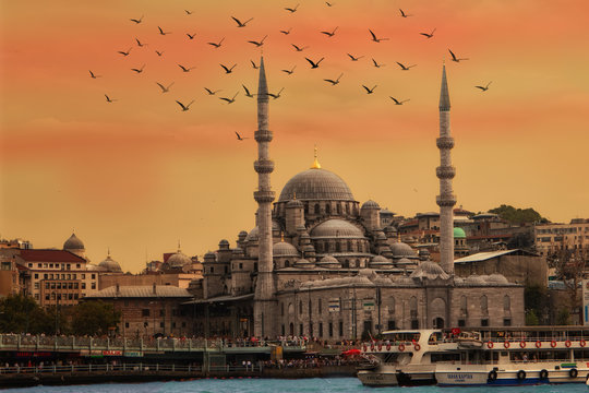 Istanbul Kuppel Sonnenuntergang Möwe skyline