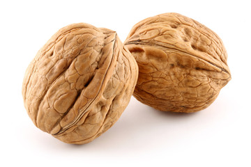 walnut