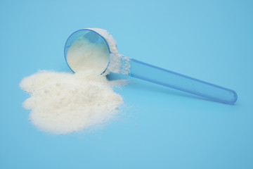 powdered milk in a blue spoon on blue, closeup