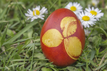 Natural dyed easter egg colored with onion skins 2