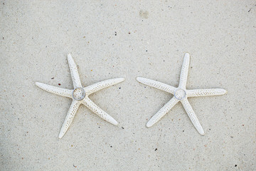 Fototapeta na wymiar the wedding rings with starfish on the beach