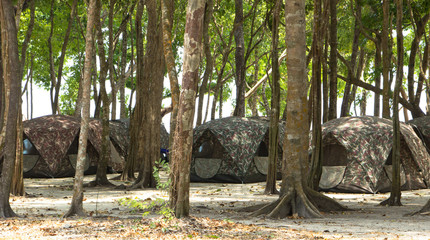 Camping Tents at Campground