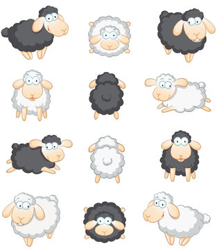 Schafe großes Set