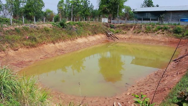 insufficient water in a pond