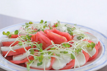 トマトとモッツァレラチーズのサラダ