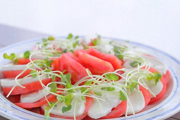 トマトとモッツァレラチーズのサラダ