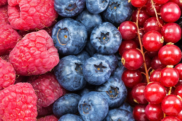 different fresh berries as background