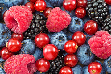 different fresh berries as background