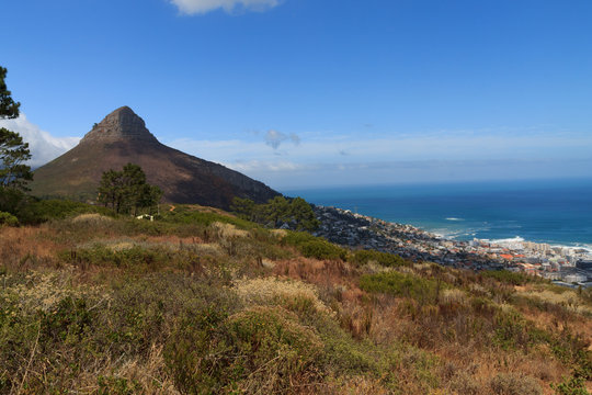 Cape town landscape