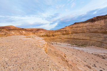 Fototapeta na wymiar view in the desert