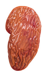 kidney raw closeup
