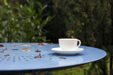 cup on blue table in garden