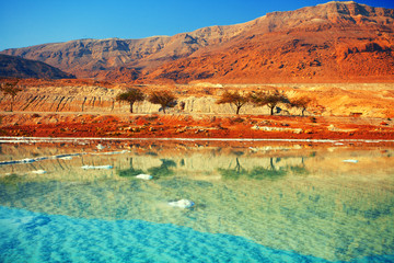 Obraz na płótnie Canvas Dead sea salt shore