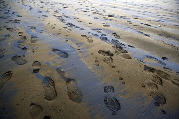 footprints on the beach