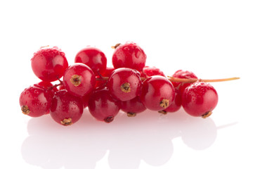 Red Currants