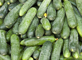 cucumbers background