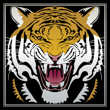 Tiger - Vector illustration of a tiger head