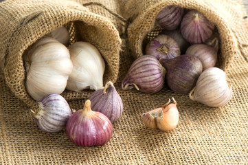 Single garlic for healthy