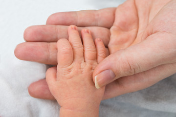 Baby Holding Parent Finger