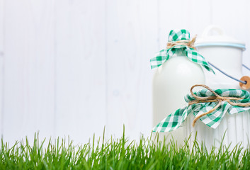 Dairy products on the grass. Vintage style