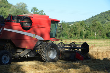 Fototapeta premium severac-le-château moissons