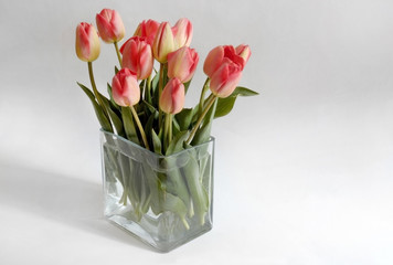 Spring flower  tulips bouquet