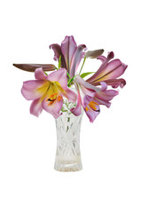 bouquet voilet lily in vase