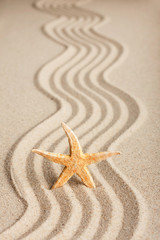 Fototapeta na wymiar Star sticking out in the sand