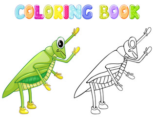 Coloring cricket bug