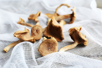 Dried mushrooms on white fabric, closeup