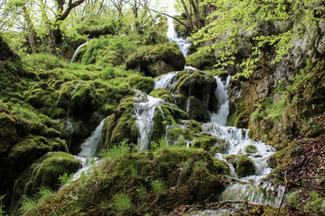 Bukovica river in Montenegro
