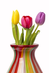 Tulips In Vase