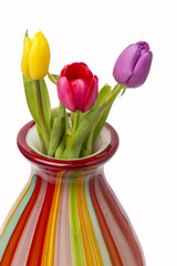 Tulips In Vase