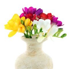 Beautiful spring flowers isolated on white