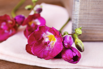 Obraz na płótnie Canvas Beautiful spring flowers on wooden table, closeup