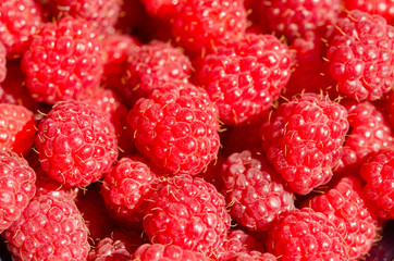 Raspberry background