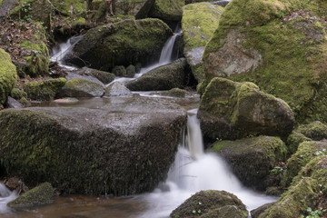 Fototapeta na wymiar Wasserfall Schwarzwald